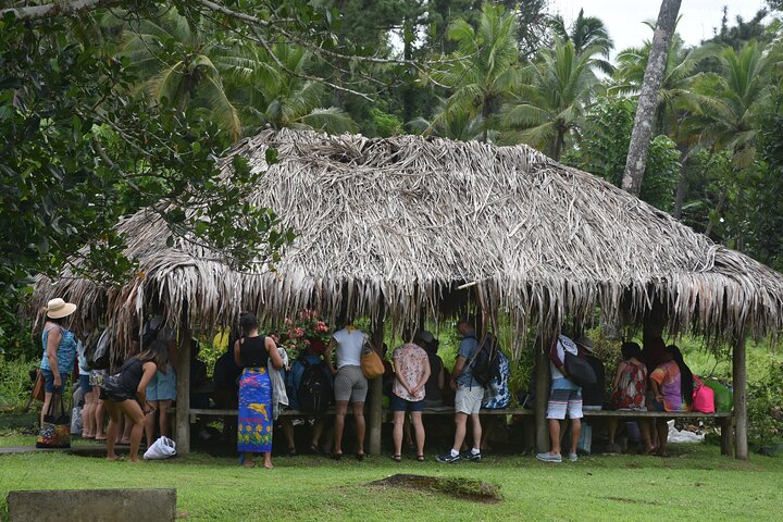 Juwel von Fidschi inkl. Fidschi Dorf, Wasserfall & Mittagessen (Nadi Hotels)