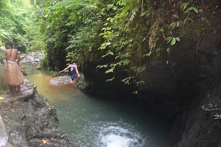 Juwel von Fidschi inkl. Fidschi Dorf, Wasserfall & Mittagessen (Nadi Hotels)