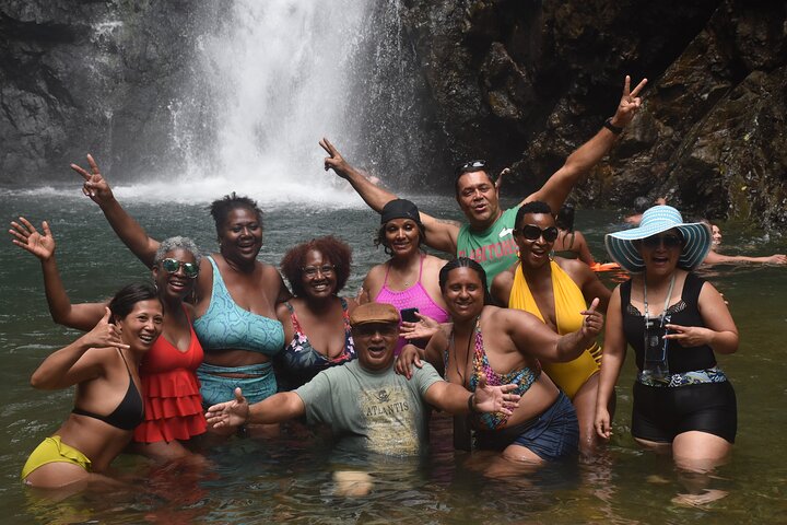Juwel von Fidschi inkl. Fidschi Dorf, Wasserfall & Mittagessen (Nadi Hotels)