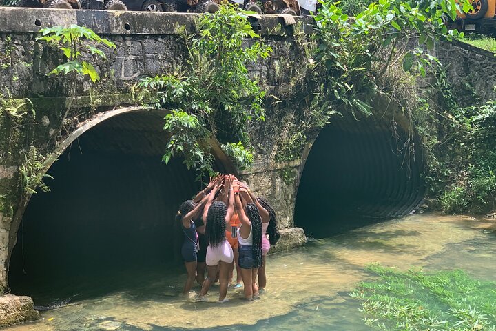 Tour en safari por la selva desde Montego Bay