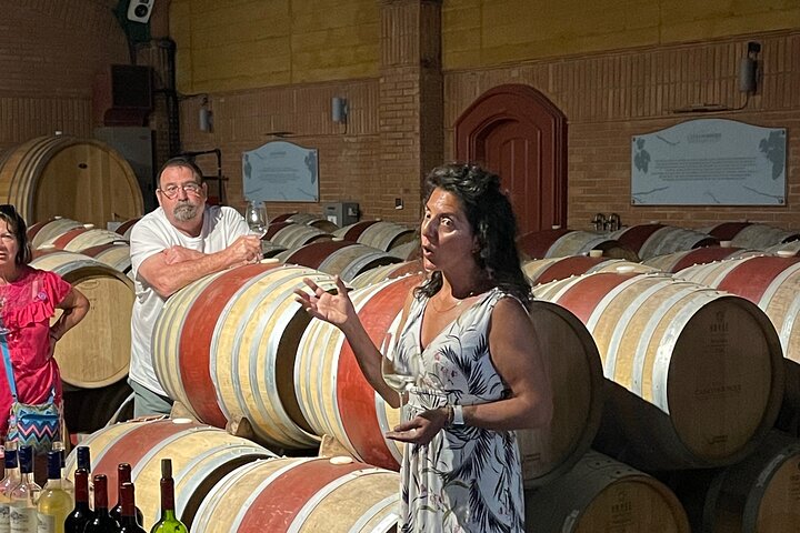 Post Cruise Tour Valparaiso och Winery lämnar flygplats eller hotell