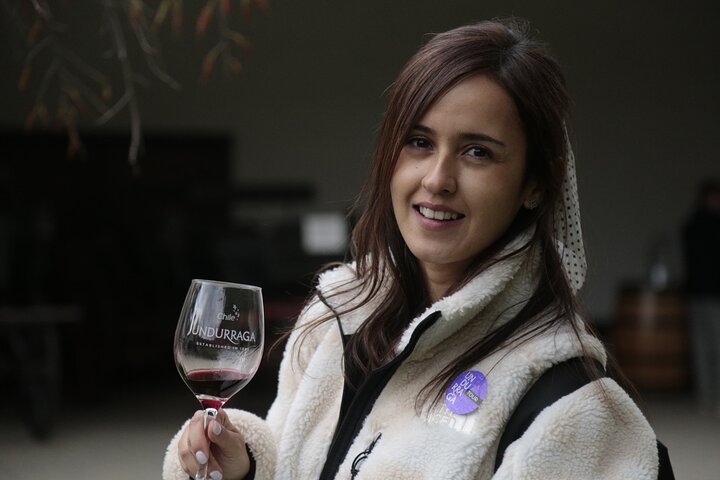 Post Cruise Tour Valparaiso och Winery lämnar flygplats eller hotell