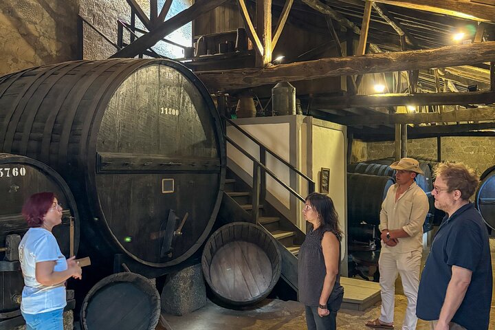 Melhor do Douro num Dia: Barco, Vinho e Almoço Familiar