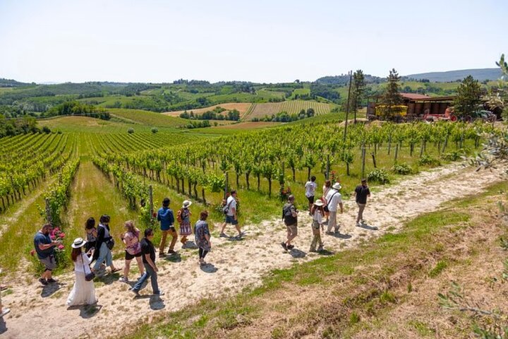 Excursion d'une journée en Toscane au départ de Florence : Sienne, San Gimignano, Pise et déjeuner dans une cave