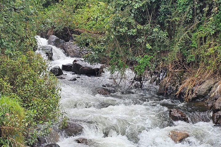 Papallacta Hot Springs : Entspannen Sie in Ecuadors Andengebirge