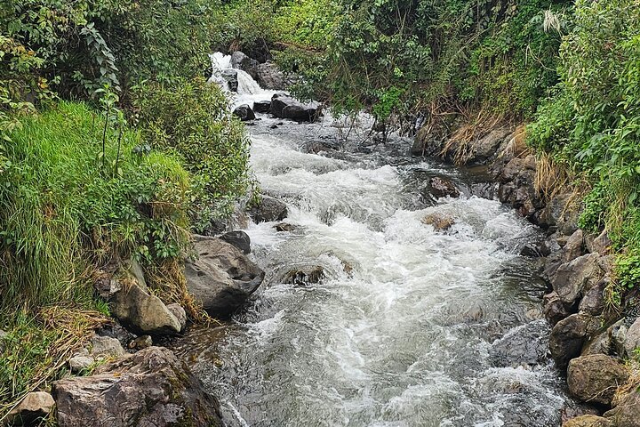 Papallacta Hot Springs : Entspannen Sie in Ecuadors Andengebirge