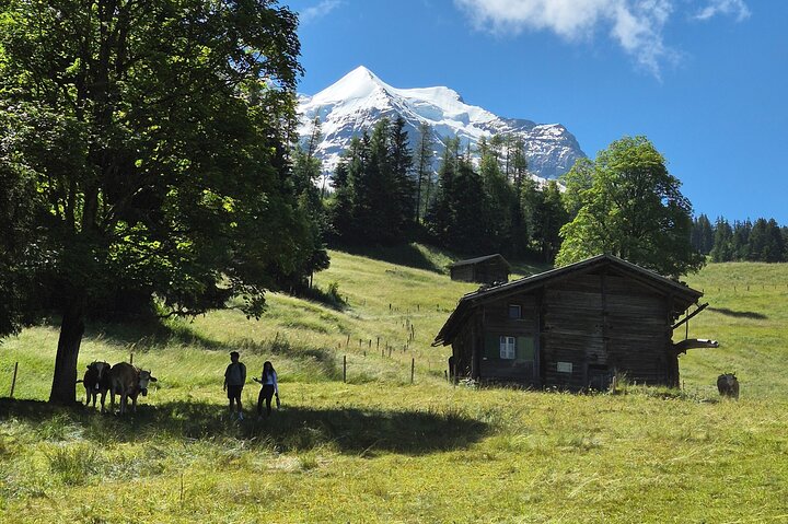 Gemakkelijke plattelandstocht in de Zwitserse Alpen - kindvriendelijk