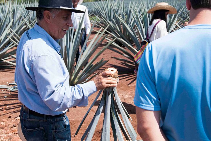 Tequila José Cuervo Verkostungsführung ab Puerto Vallarta