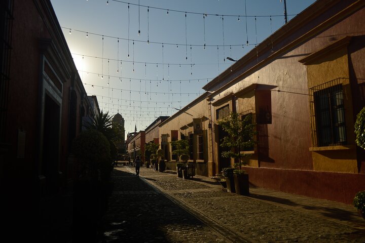 Tequila José Cuervo Verkostungsführung ab Puerto Vallarta