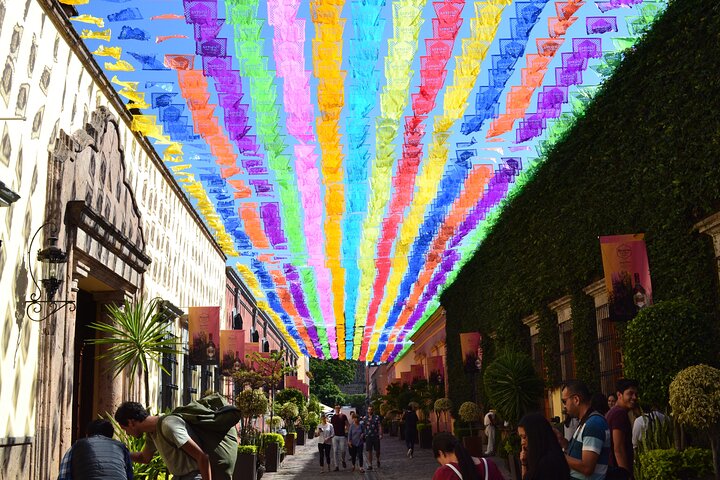 Tequila José Cuervo Verkostungsführung ab Puerto Vallarta