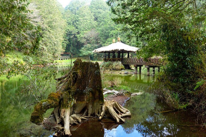 台中発阿里山ジョイン日帰りツアー(公園入口含む)