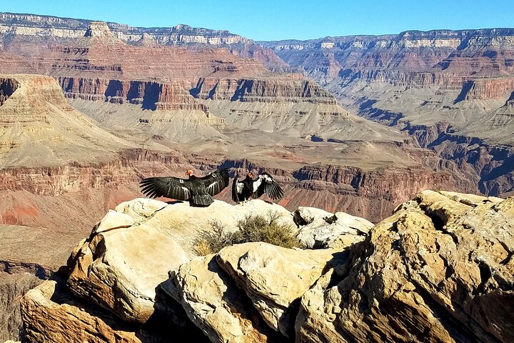 Grand Canyon South Rim Solnedgångstur med middag ingår