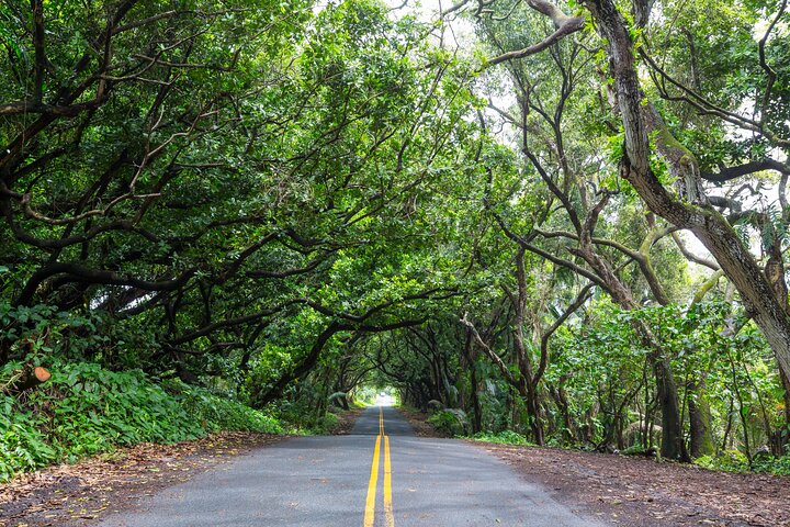 Excursión en tierra de Hilo : Volcán Safari Cuevas de lava & Arena Negra