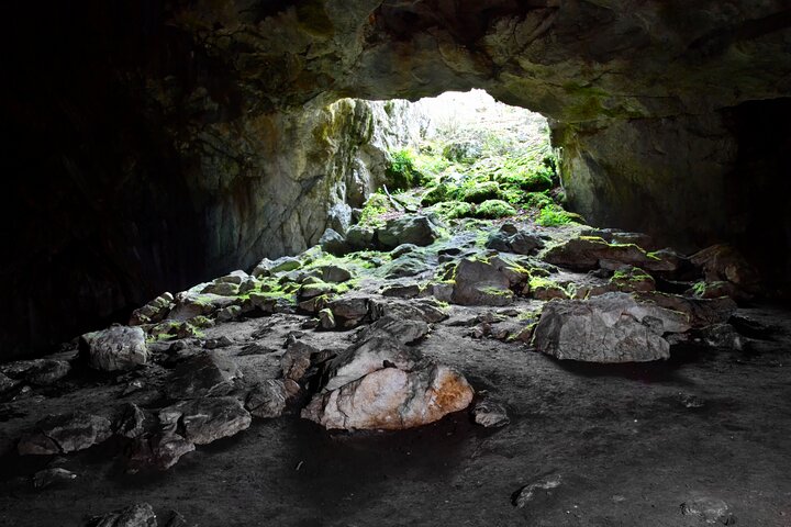 Excursión en tierra de Hilo : Volcán Safari Cuevas de lava & Arena Negra