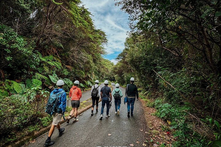 ポアス火山とコーヒー ツアー、試飲とラパス滝付き