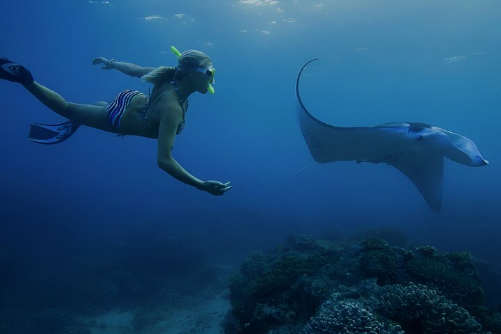 Privat dagstur till Nusa Penida med snorkling och Kelingking Beach