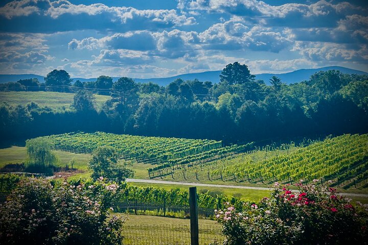 Three Vineyards Halvdag privat vintur från Asheville