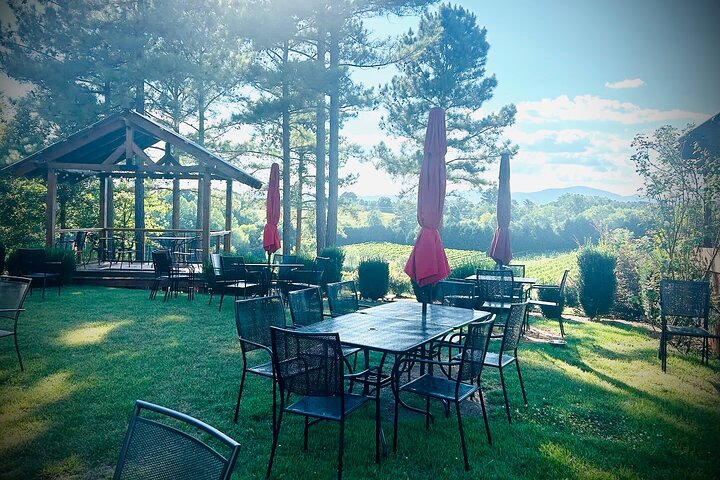 Three Vineyards Halvdag privat vintur från Asheville