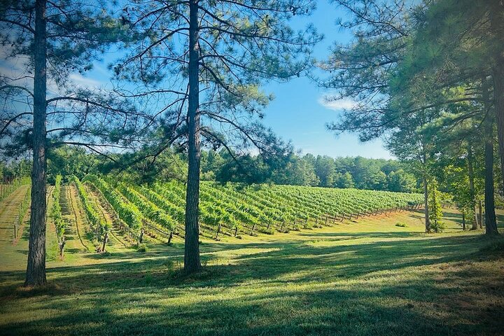 Three Vineyards Halvdag privat vintur från Asheville