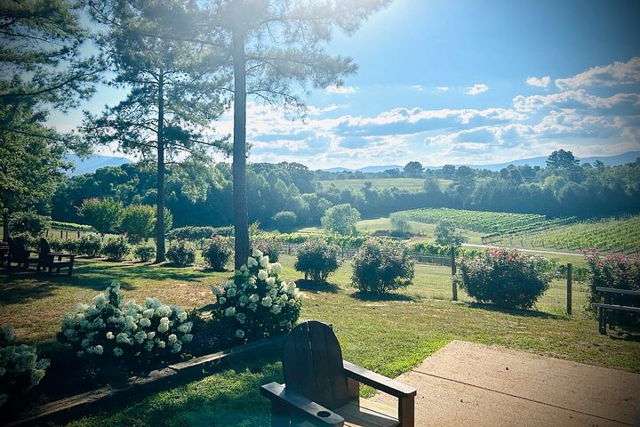 Three Vineyards Halvdag privat vintur från Asheville