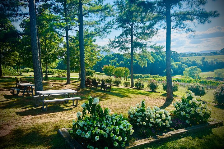 Three Vineyards Halvdag privat vintur från Asheville