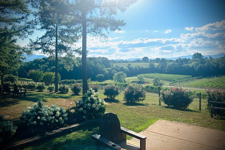Three Vineyards Halvdag privat vintur från Asheville