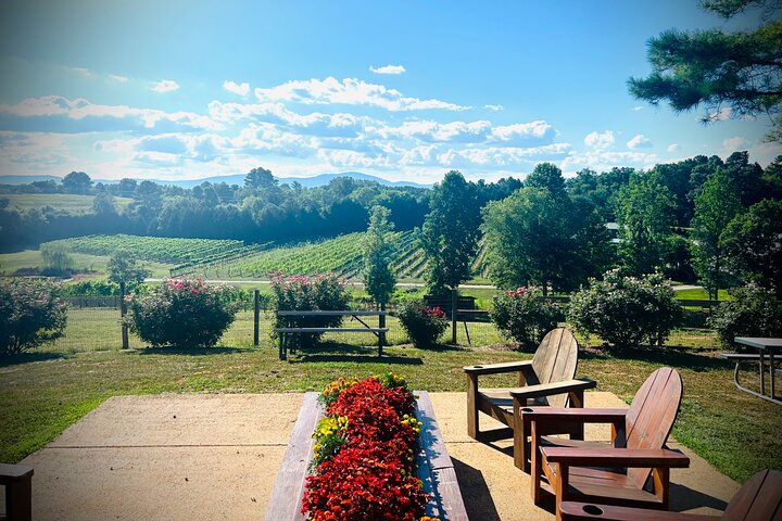 Three Vineyards Halvdag privat vintur från Asheville