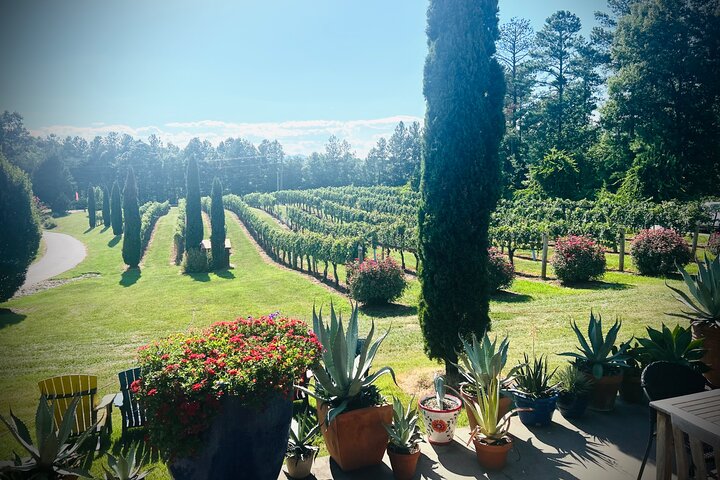 Three Vineyards Halvdag privat vintur från Asheville