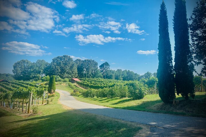 Three Vineyards Halvdag privat vintur från Asheville