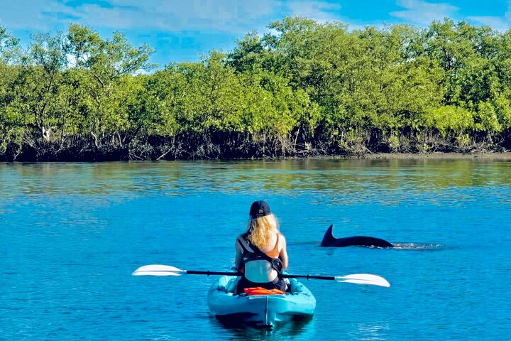 Dolphin, lamantin et tortue marine Aventure en kayak à Saint-Augustin
