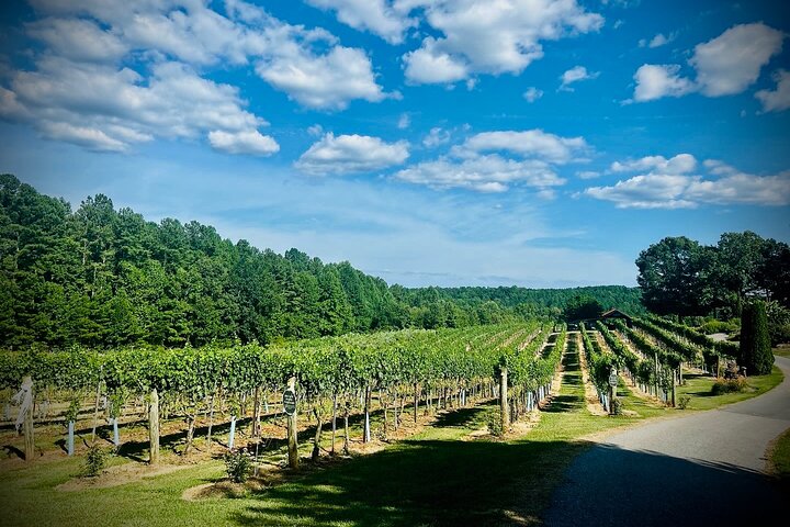 Three Vineyards Halvdag privat vintur från Asheville
