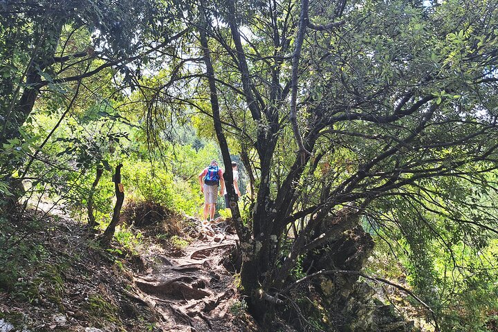 Thessaloniki: busreis naar Dion en het nationaal park Mount Olympus