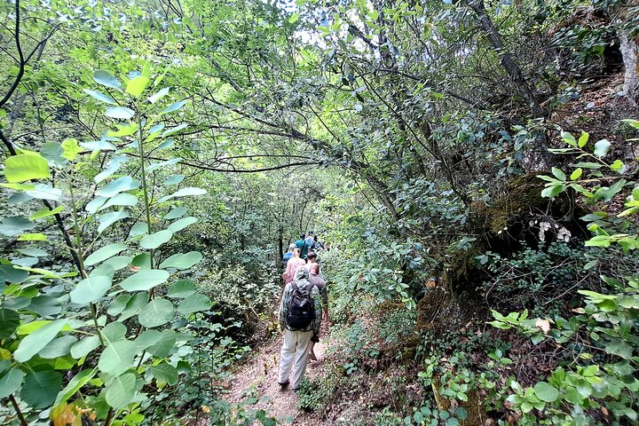 Thessaloniki: busreis naar Dion en het nationaal park Mount Olympus