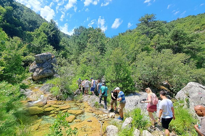 Thessaloniki: busreis naar Dion en het nationaal park Mount Olympus