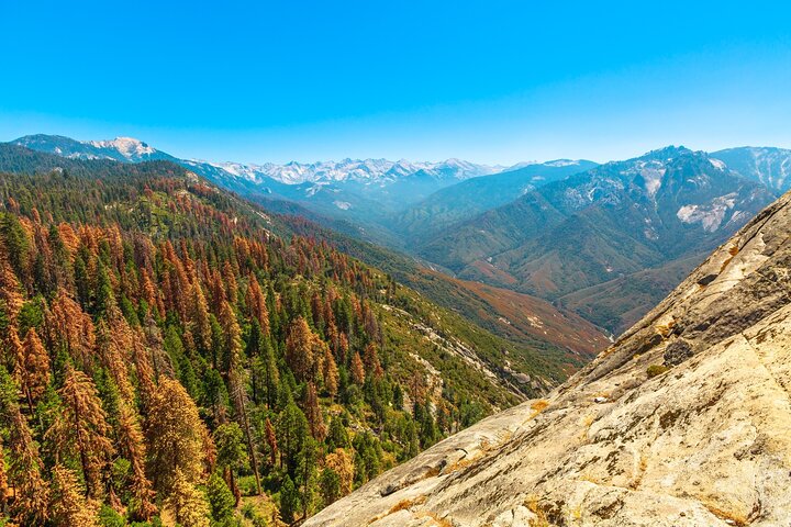 Sequoia en Kings Canyon audiotour Zelfgids Nationaal Park Tour