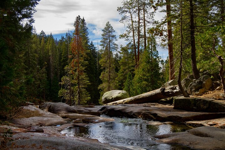 Sequoia National Park självguidad ljudtur