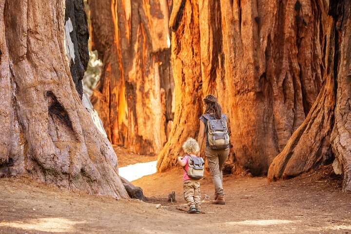 Sequoia National Park självguidad ljudtur