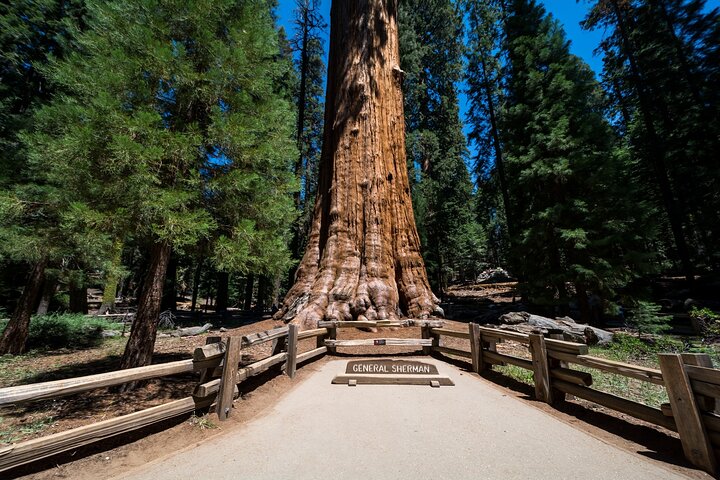 Sequoia National Park självguidad ljudtur