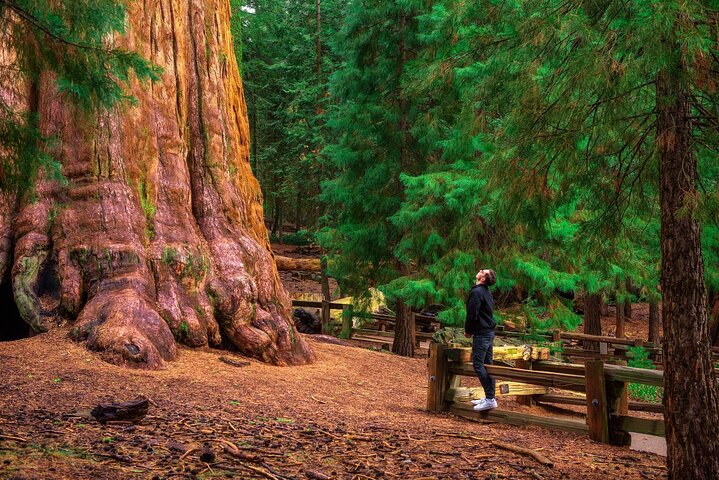 Sequoia National Park självguidad ljudtur