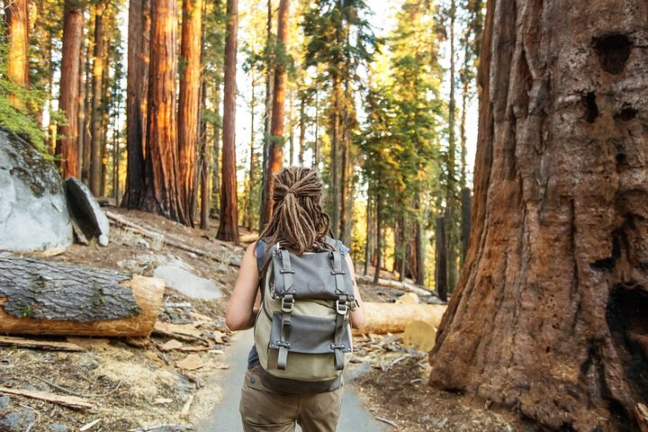 Sequoia National Park självguidad ljudtur