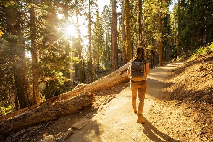 Sequoia National Park självguidad ljudtur