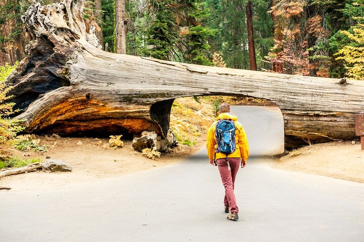 Sequoia National Park självguidad ljudtur
