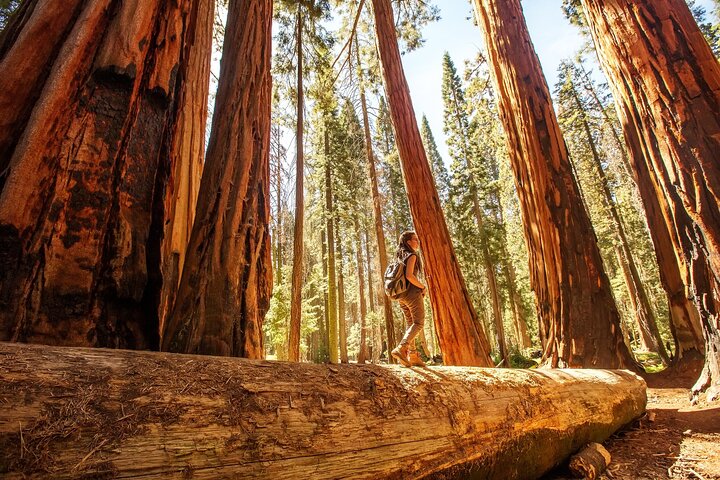 Sequoia National Park självguidad ljudtur