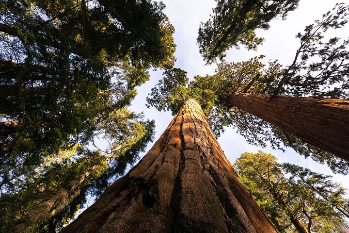 Sequoia National Park självguidad ljudtur