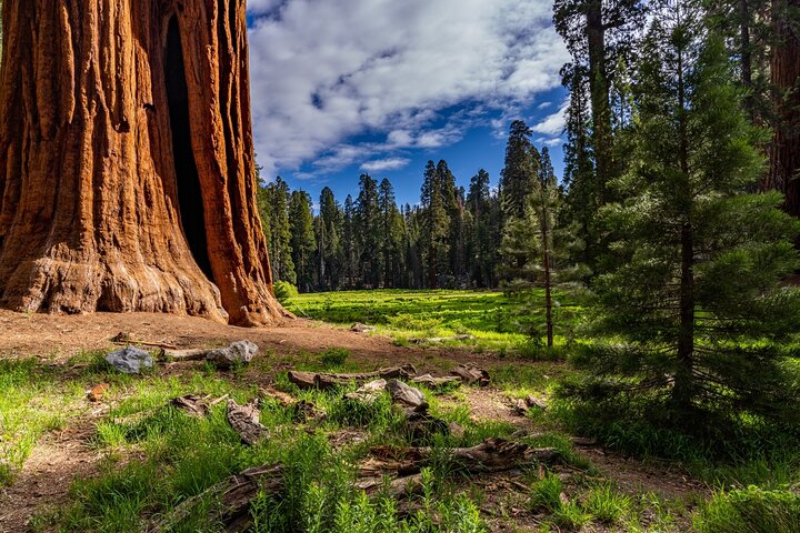 Sequoia National Park självguidad ljudtur