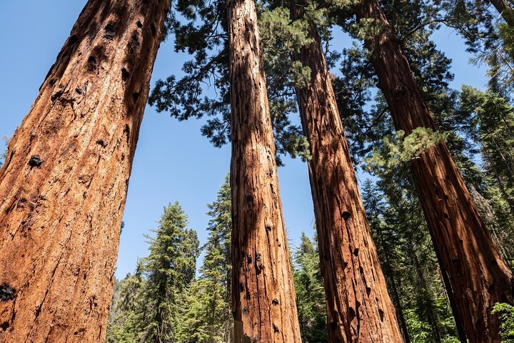 Sequoia National Park självguidad ljudtur