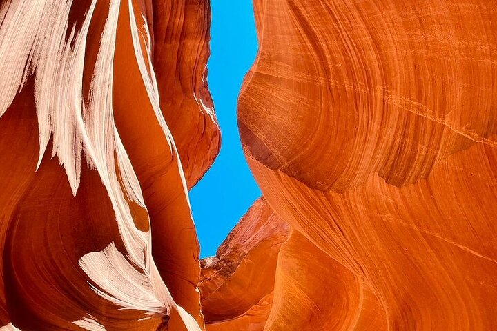 7-dages tur i Los Angeles, Vegas, Yellowstone og Salt Lake City