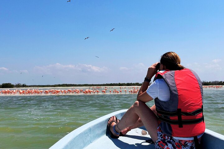 Las Coloradas, Río Lagartos en Playa Cancunito-tour vanuit Mérida