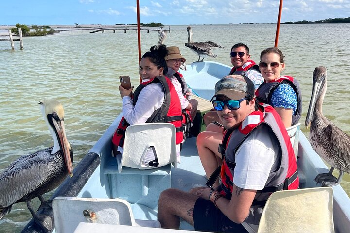 Las Coloradas, Río Lagartos en Playa Cancunito-tour vanuit Mérida