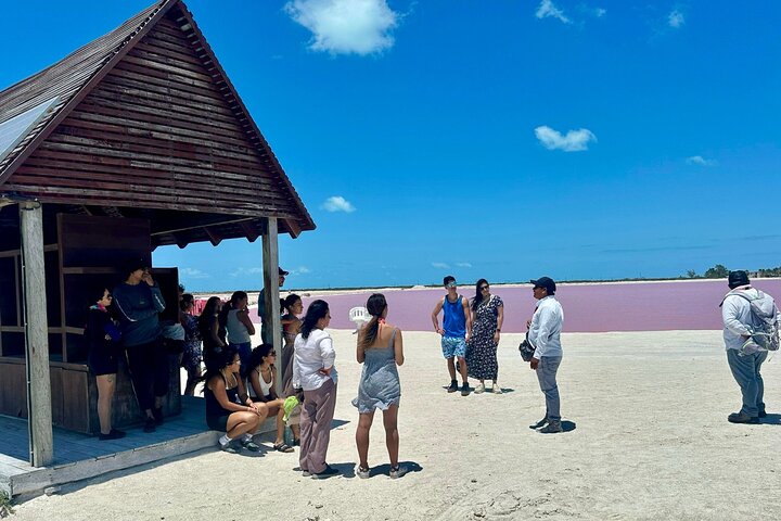 Las Coloradas, Río Lagartos en Playa Cancunito-tour vanuit Mérida